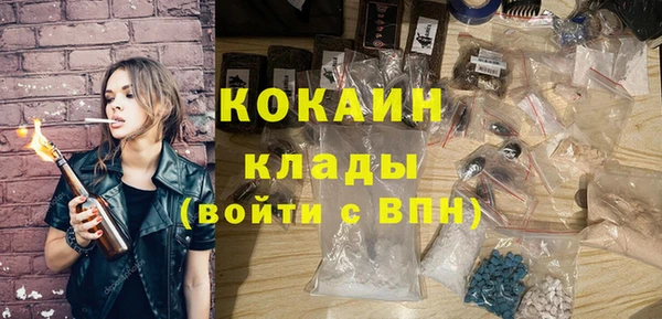 гидра Михайловка
