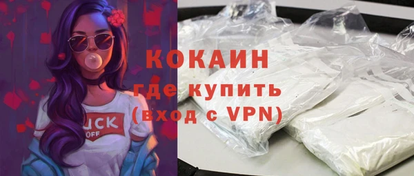 гидра Михайловка