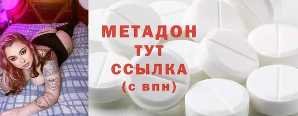 гидра Михайловка