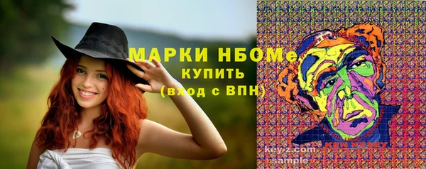 гидра Михайловка