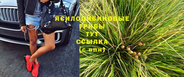 гидра Михайловка